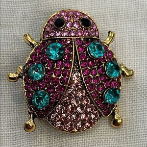 Colorful Ladybug Brooch with Crystals